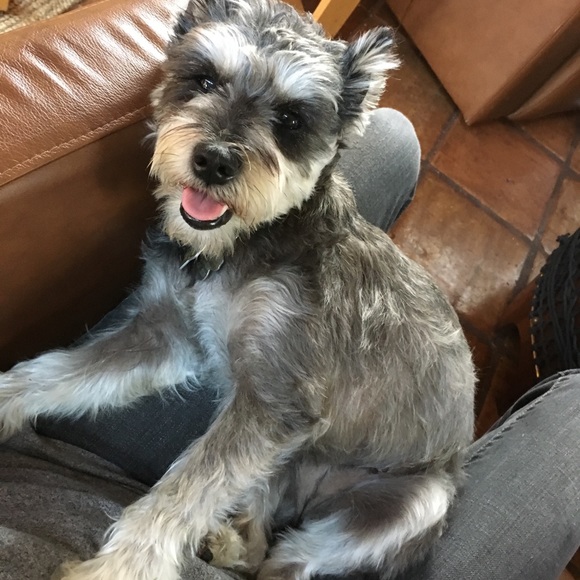 Meet your Posher, Aydelette - Picture 1 of 1